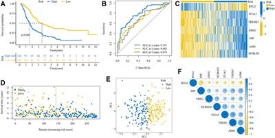 An Inflammatory Response Related Gene Signature Associated with Survival Outcome and Gemcitabine Response in Patients with Pancreatic Ductal Adenocarcinoma